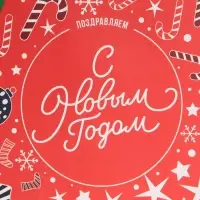 Пакет подарочный новогодний ламинированный &laquo;Снежинки&raquo;, MS 18 х 23 х 10 см