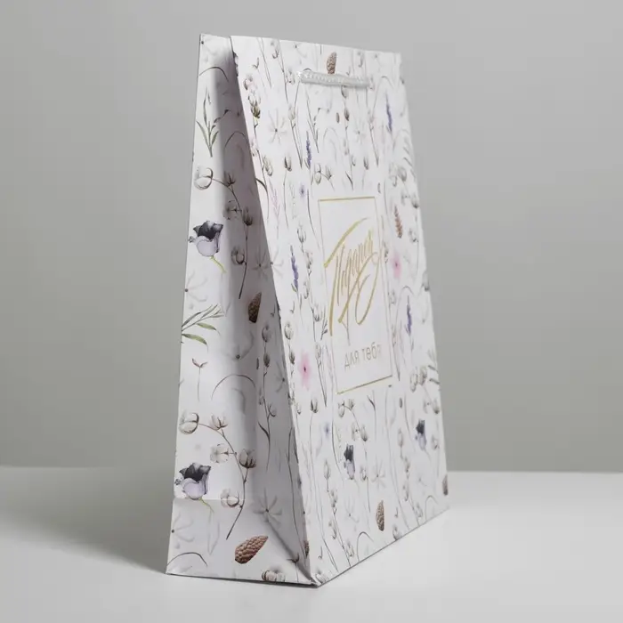 Пакет подарочный ламинированный, упаковка, Gift for you, ML 21 х 25 х 8 см