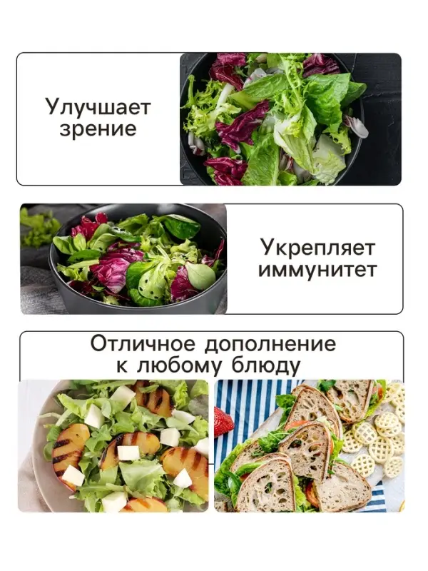 Семена Салат листовой "Азарт",0,5 г