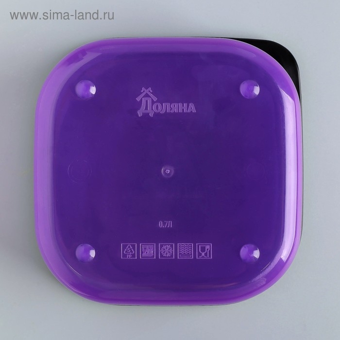 Ланч-бокс &laquo;Единорог&raquo;, 700 мл