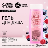 Гель для душа &laquo;Магия НовогоГода&raquo;, 250 мл, аромат морозных ягод, ЧИСТОЕ СЧАСТЬЕ
