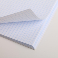 Тетрадь 96 листов клетка, А4 на скрепке,&laquo;1 сентября: JUNGLE&raquo;, обложка мелованный картон 215 гр белизна 96%