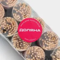 Зубочистки Доляна, 60 шт, цвет МИКС
