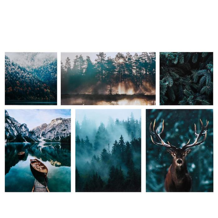 Картина модульная на подрамнике "Дикая природа" 114х70 см (2-30х30; 3-38х47;  1-30х54)