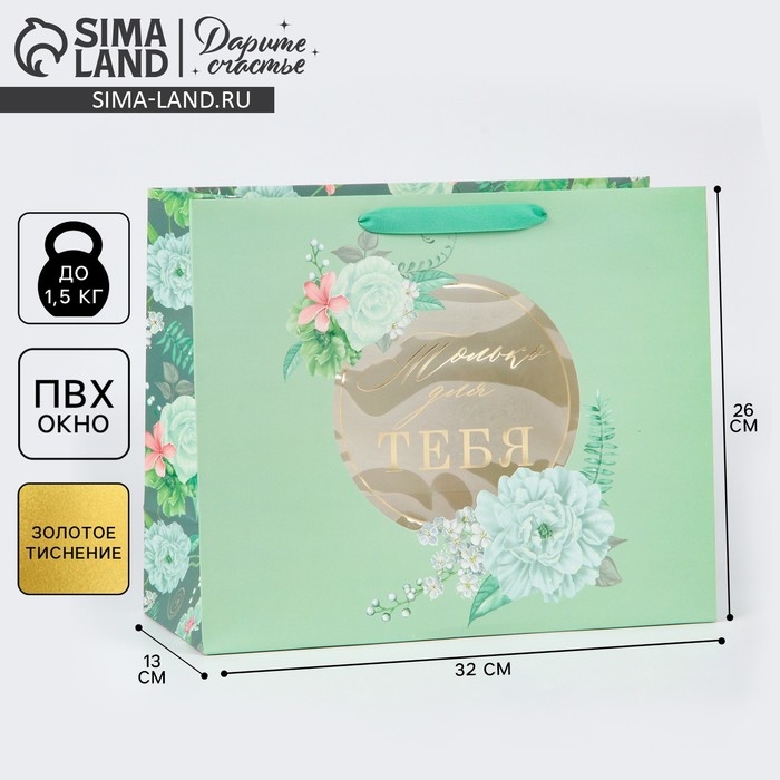 Пакет подарочный ламинированный с пластиковым окном, упаковка, &laquo;Тебе&raquo;, 32,5 х 26,5 х 13,5 см