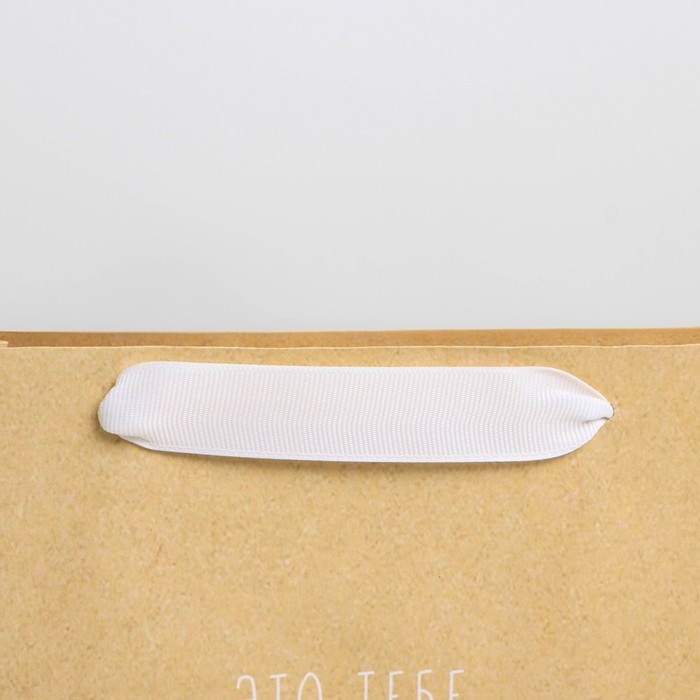 Пакет подарочный крафтовый, упаковка, &laquo;Тебе&raquo;, 22 х 17,5 х 8 см