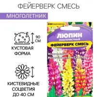 Семена Люпин "Фейерверк", ц/п,  0,3 гр.