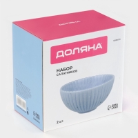 Салатники Доляна &laquo;Коралл&raquo;, d=16.1 см, набор 2 шт., керамика, голубые