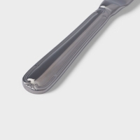 Нож столовый Hanna Kn&ouml;vell Malaren, 23.1 см, нержавеющая сталь, серебристый