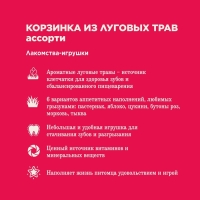 Лакомство Little One "Корзинка из луговых трав" с наполнением, ассорти, 65 г