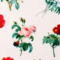 Слайдеры для ногтей &laquo;Flowers&raquo;, разноцветные