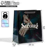 Пакет подарочный ламинированный, упаковка, &laquo;Никогда не сдавайся&raquo;, радужная голография, ML 23 х 27 х 11.5 см