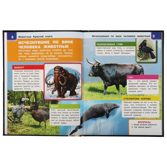 Энциклопедия А4 с дополненной реальностью &laquo;Животные красной книги 4D&raquo;