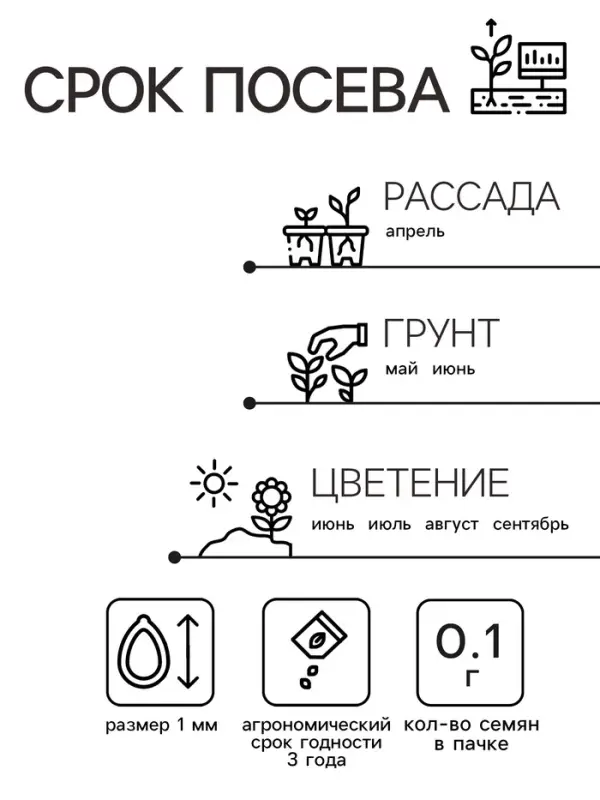 Семена Амарант Метельчатый Пигми Торч 0.1г*