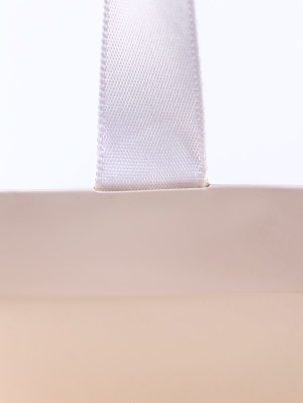 Пакет подарочный &laquo;Белый&raquo;, 28&times;20&times;10 см