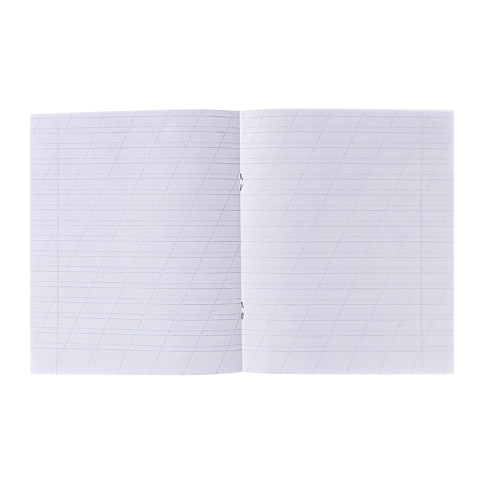 Набор первоклассника в папке Calligrata &laquo;Универсальный&raquo;, 70 предметов, с пособиями