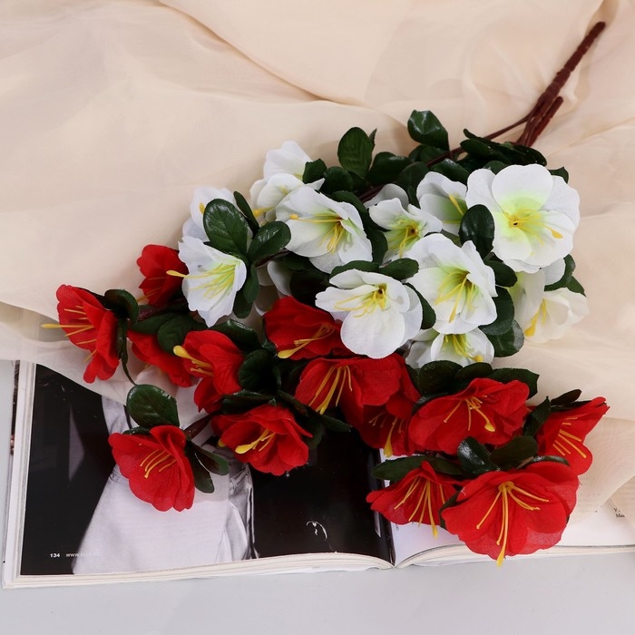 Букет Букет "Ахименес Тереза" 5х33 см, микс