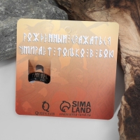 Кольцо &laquo;Вальхалла&raquo; с рунами, цвет чёрно-белый, 17 размер