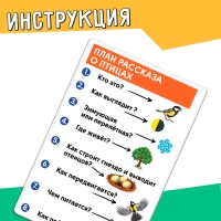 Развивающий набор &laquo;Перелётные и зимующие птицы&raquo;