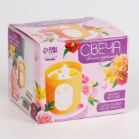 Свеча своими руками. Создание свечей с формовыми элементами, набор для творчества