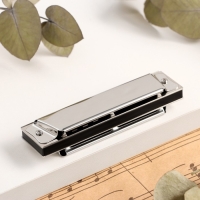 Губная гармошка Music Life T10 C диатоническая, 10 отверстий, с футляром