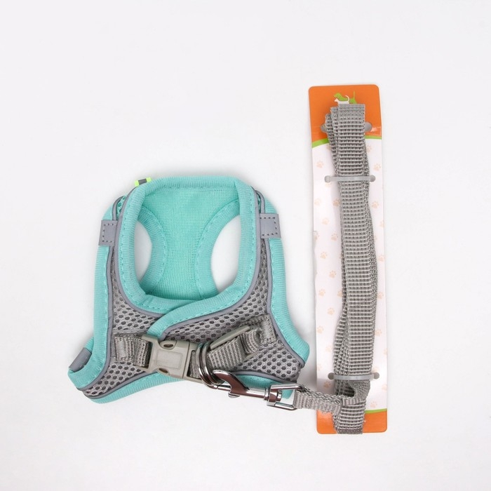 Комплект с мягкой шлейкой, быстросъемный, XS, поводок 150 х1,5 см, ОШ 29-32 ОГ 31-34 см, бирюзовый