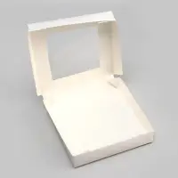 Контейнер на вынос, с окном, белый, 20&times;20&times;4 см