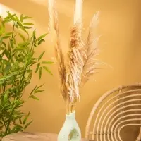 Ваза терракота "Флорина" 18х10х28 см