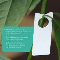 Бирки садовые, для маркировки растений, 5&times;2 см, набор 20 шт., пластик, МИКС, Greengo