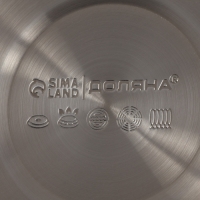 Чайник со свистком из нержавеющей стали Доляна Snow, 3 л, индукция, цвет золотой