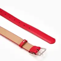 Ремень жен 05-01-02-01, Июнь2505, 3*0,3*110 см, без винта, пряж мат металл, 1 прокол, красн   109031