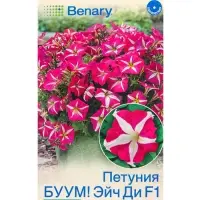 Семена цветов Петуния БУУМ! Эйч Ди F1 Роуз Стар многоцветковая  (драже)  Benary, Ц/П,7 шт.