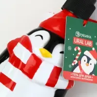 Гель для душа новогодний, 300 мл, фруктовое мороженое, Ural Lab