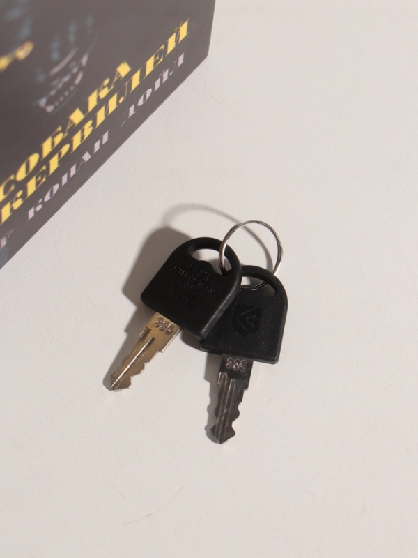 Сейф-книга дерево кожзам "Артур Конан Дойл. Собака Баскервилей" 21х13х5 см