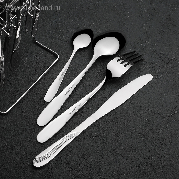 Набор столовых приборов из нержавеющей стали &laquo;Водопад&raquo;, 24 предмета, на подставке, цвет серебряный