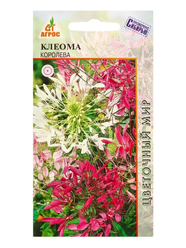 Семена Клеома колючая "Королева" 0,2 г