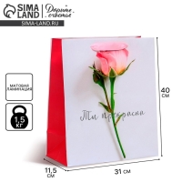 Пакет подарочный ламинированный вертикальный, упаковка, &laquo;Ты прекрасна&raquo;, L 31 х 40 х 11,5 см