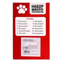 Набор для опытов &laquo;Набор микропрепаратов&raquo;, животные