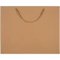 Пакет бумажный Plat L, крафт