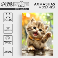 Алмазная мозаика с полным заполнением на холсте &laquo;Пушистый Милаш&raquo;, 30 х 40 см