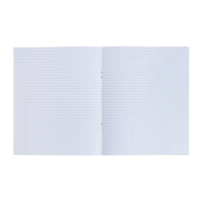 Комплект тетрадей из 4 штук, 96 листов в клетку Calligrata "Fashion", обложка мелованный картон, блок офсет