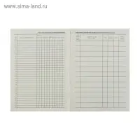 Журнал учёта работы педагога дополнительного образования в объединении (секции, клубе, кружке) А4, 20 листов, обложка офсет 120 г/м&sup2;, блок писчая бумага 60 г/м&sup2;