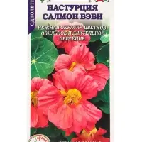 Семена Настурция Салмон беби /Сотка/ 0,5 г/ полумах. h-40cм, d-6см/*500