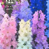 Семена цветов Дельфиниум "Махровый", ц/п,  0,05 г