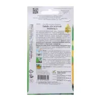 Семена Тыква мускатная "Матильда" select,  10 шт