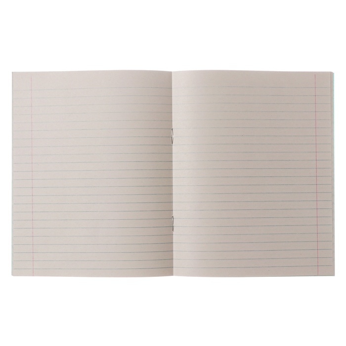 Комплект тетрадей из 20 штук, 24 листа в линию КПК "Зелёная обложка", блок №2, белизна 75% (серые листы)