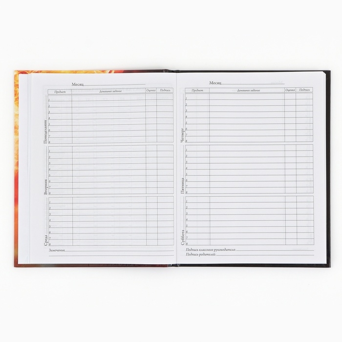 Дневник школьный 1-4 класса, в твердой обложке, 48 л &laquo;Футбольный мяч&raquo;