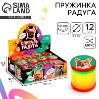 Пружинка - радуга &laquo;Котики-собачки&raquo; d.-5см, в шоубоксе, МИКС