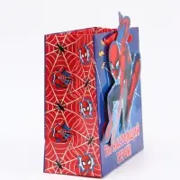 Пакет подарочный &laquo;Супергерой&raquo;, 22 &times; 22 &times; 10 см