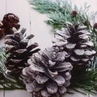 Пакет подарочный ламинированный "Зимняя пора" 18 х 23 х 10 см